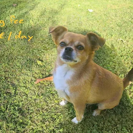 Apartament Garden Nat Koper