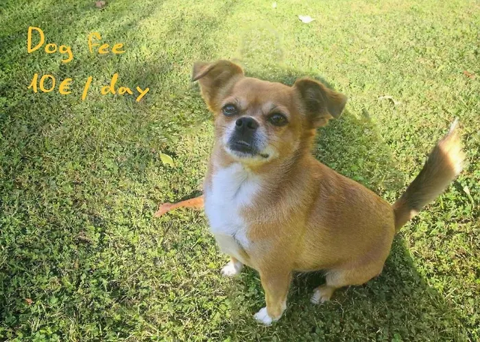 Appartement Garden Nat Koper